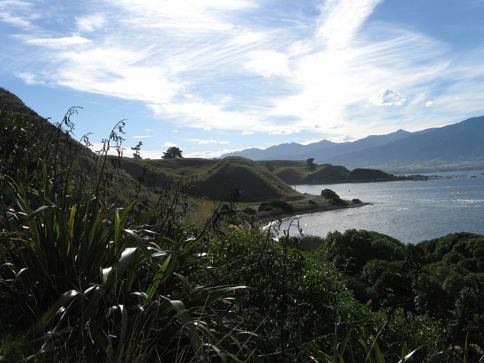 Remnants of a Maori Fort